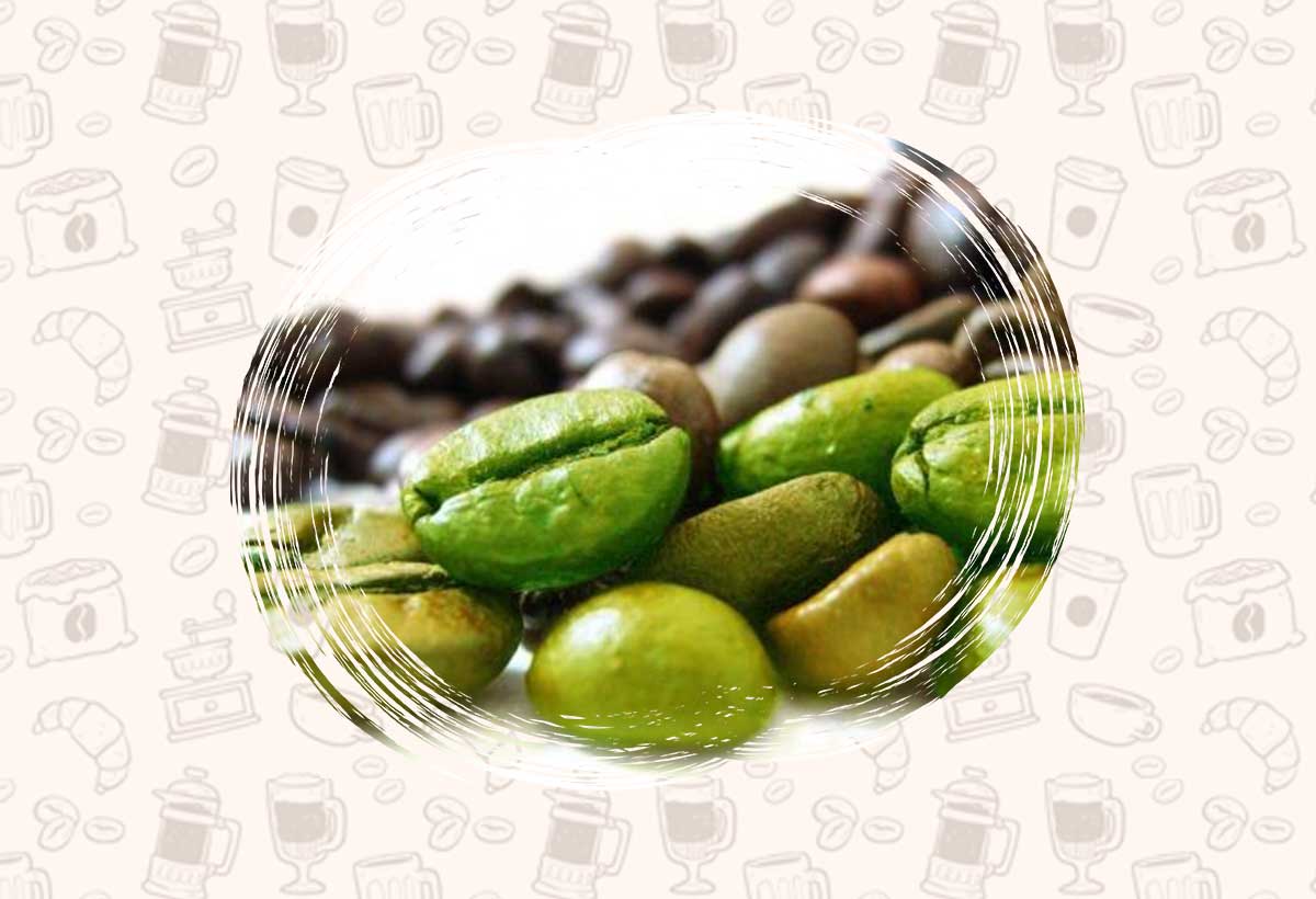 عمده قهوه سبز