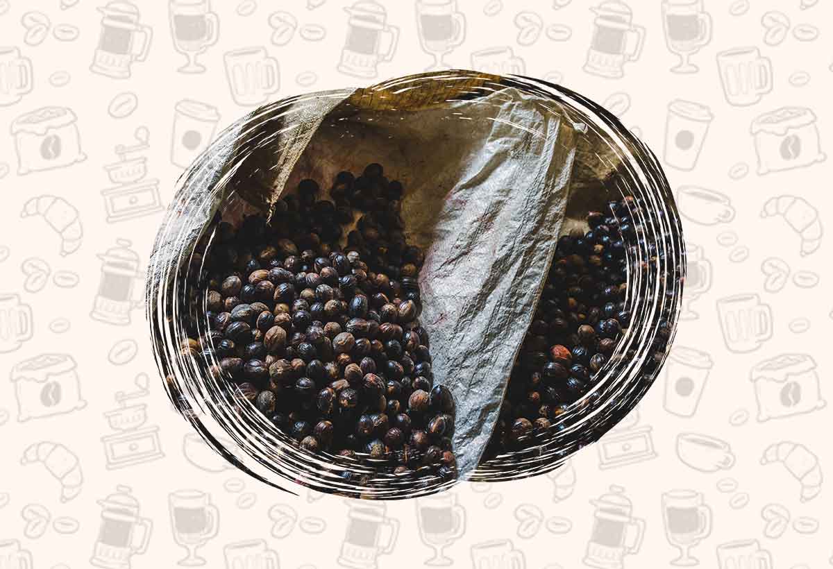راهنمایی خرید قهوه در مشهد