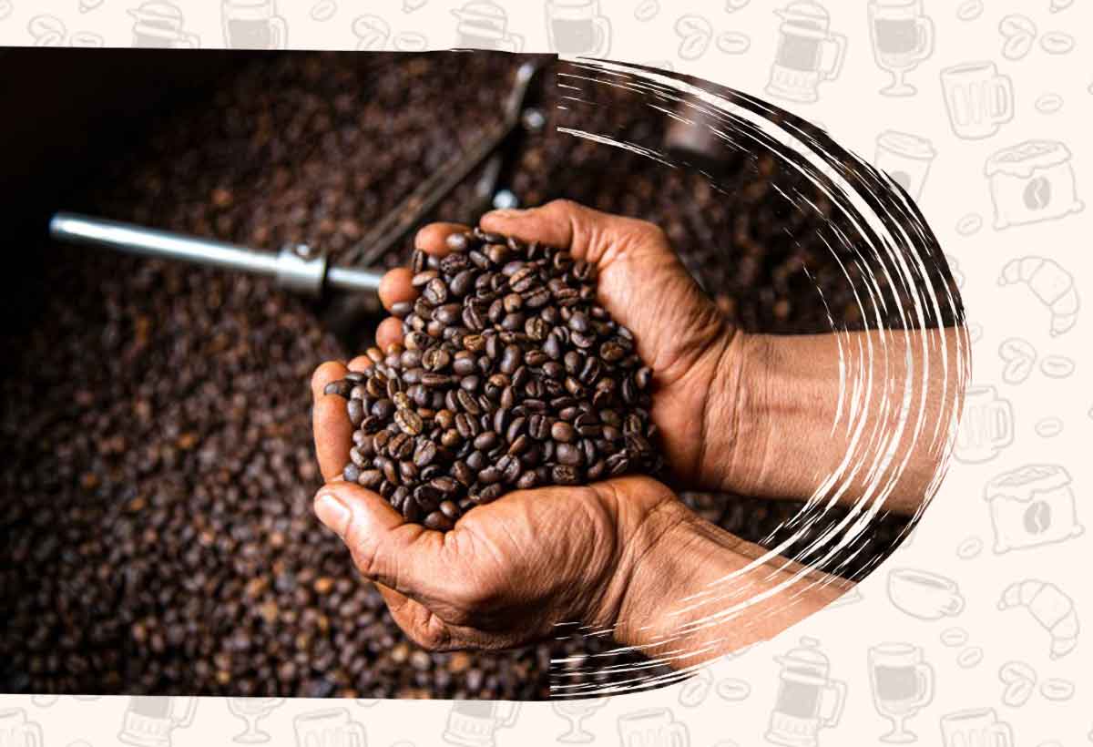 قیمت دان قهوه عربیکا اوگاندا