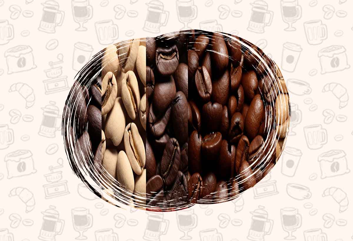 درجه بندی دانه های قهوه