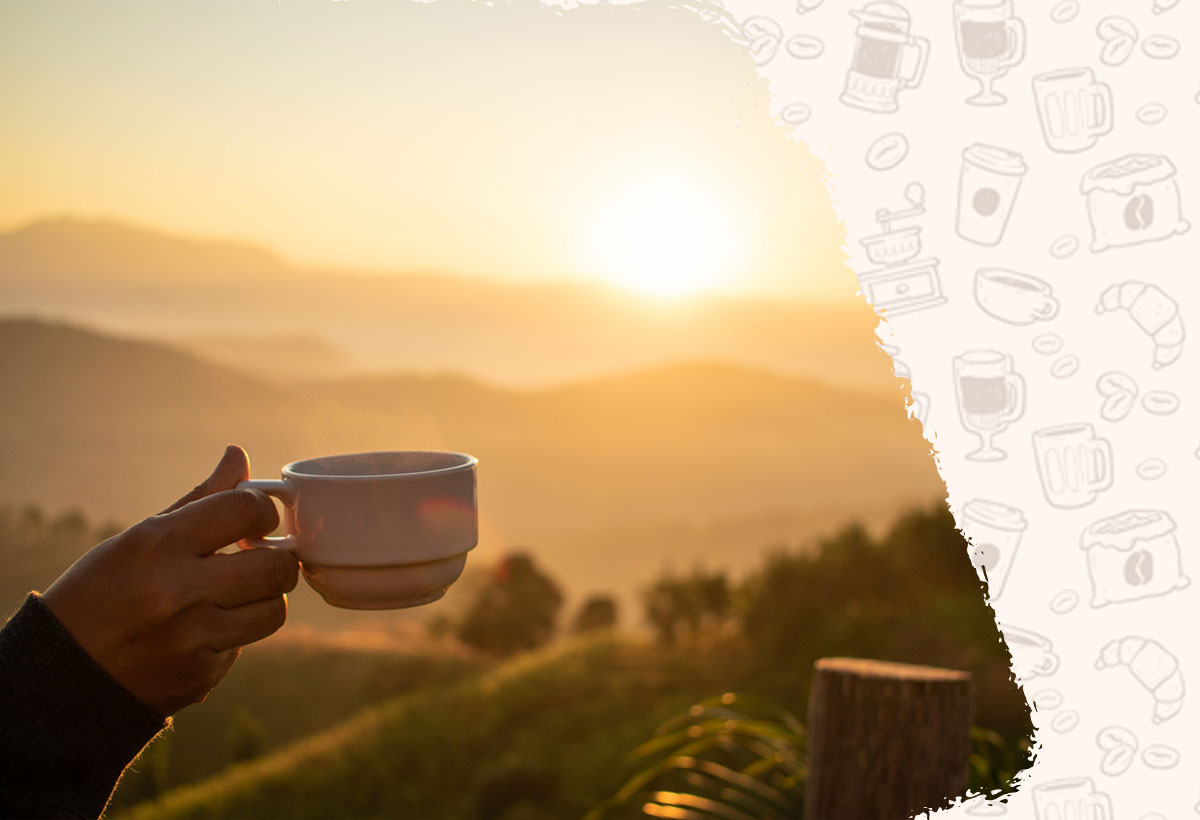 نگرش به محیط زیست در شرکت تولید کنند قهوه در ایران نگرش به محیط زیست در شرکت تولید کنند قهوه در ایران