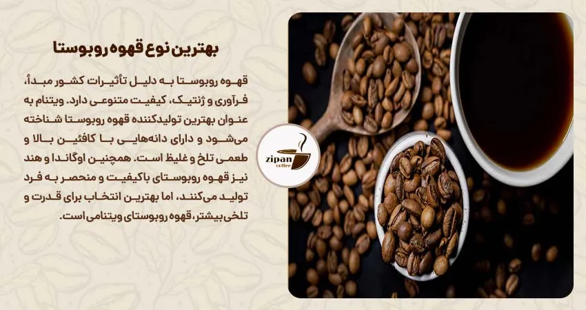 بهترین نوع قهوه روبوستا 