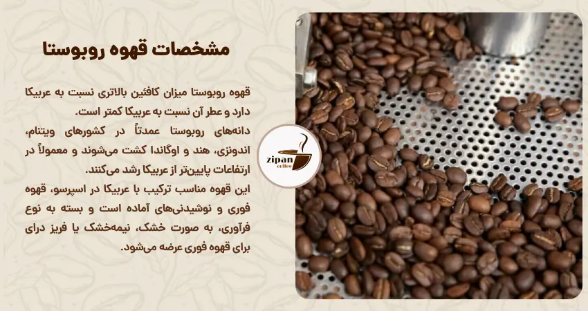 مشخصات قهوه روبوستا
