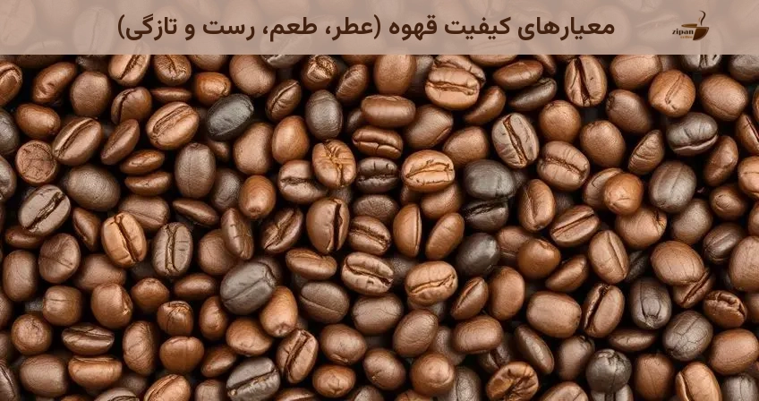 معیارهای کیفیت قهوه (عطر، طعم، رست و تازگی)