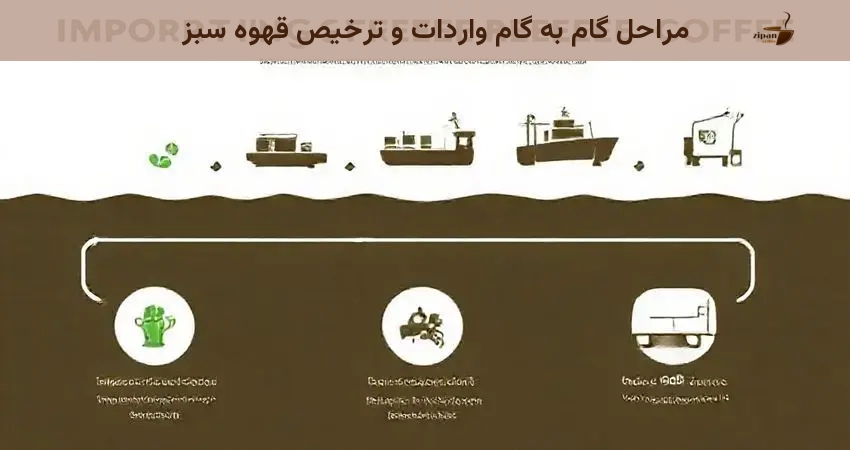 مراحل گام به گام واردات و ترخیص قهوه سبز
