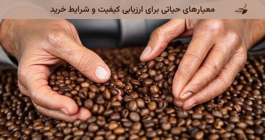 معیارهای حیاتی برای ارزیابی کیفیت و شرایط خرید