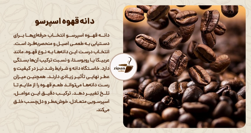 دانه قهوه اسپرسو؛ انتخاب حرفه ای ها برای طعمی اصیل