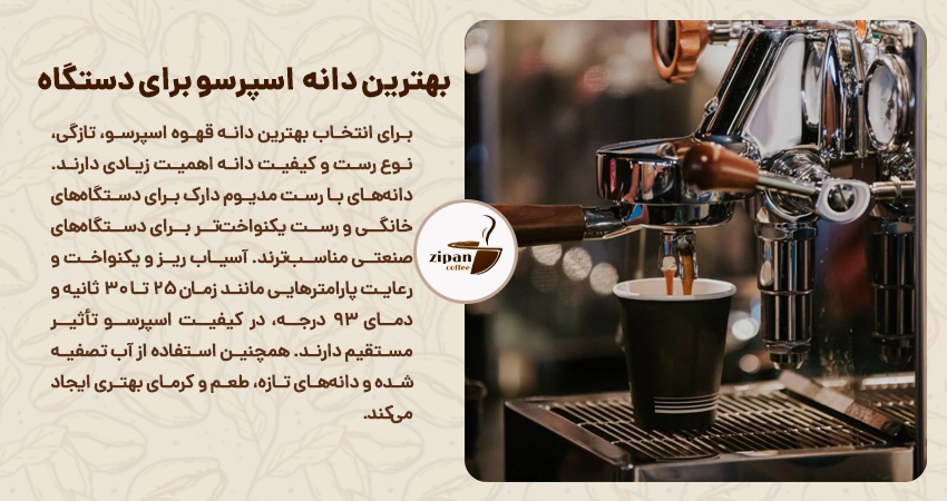 بهترین دانه قهوه اسپرسو برای دستگاه اسپرسوساز خانگی و صنعتی