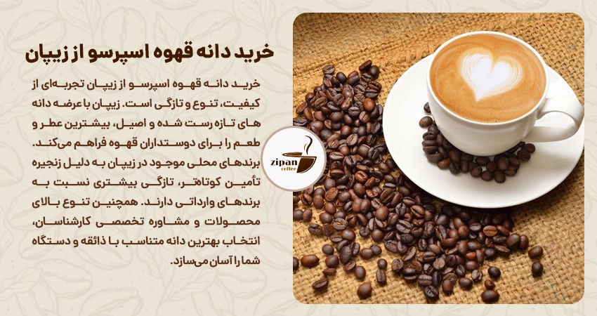 خرید دانه قهوه اسپرسو از زیپان؛ کیفیت، تنوع و تازگی در یکجا