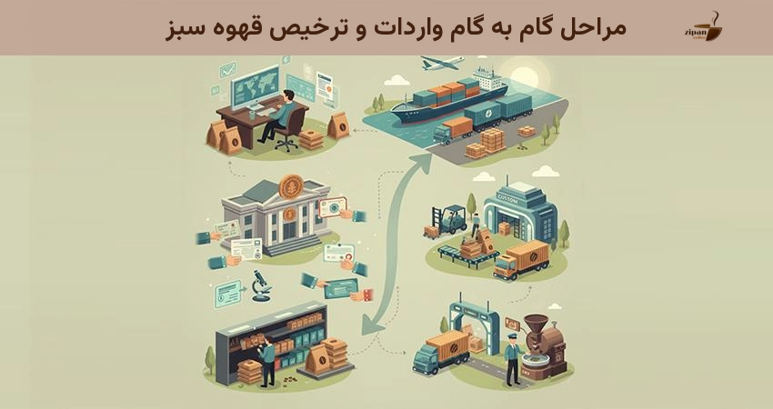 مراحل گام به گام واردات و ترخیص قهوه سبز