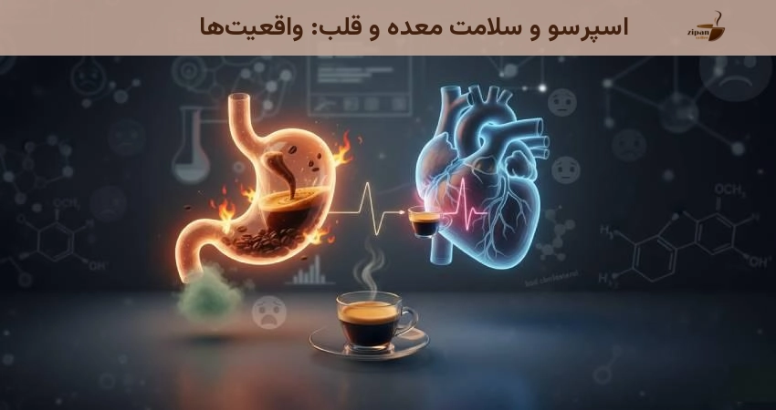 اسپرسو و سلامت معده و قلب: واقعیت ها اسپرسو و سلامت معده و قلب: واقعیت ها