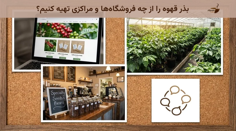 بذر قهوه را از چه فروشگاهها و مراکزی تهیه کنیم؟
