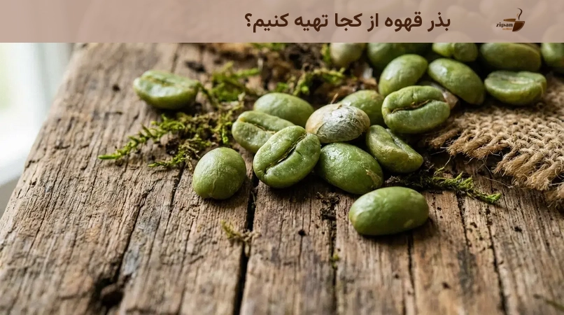 بذر قهوه از کجا تهیه کنیم؟