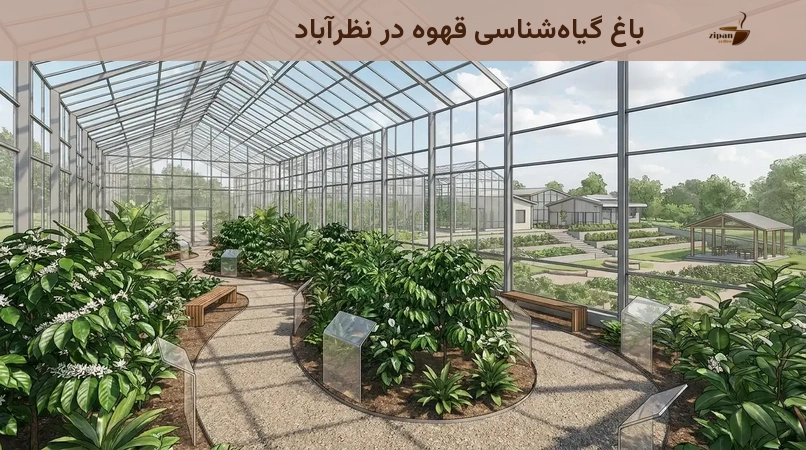 باغ گیاهشناسی قهوه در نظرآباد