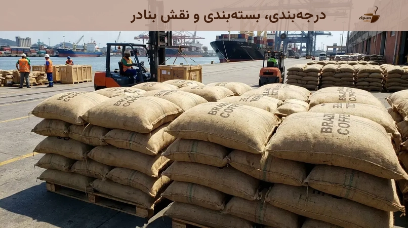 درجهبندی، بستهبندی و نقش بنادر