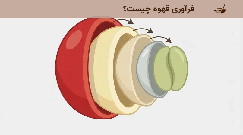 فرآوری قهوه چیست؟