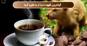 گرانترین قهوه دنیا از مدفوع گربه