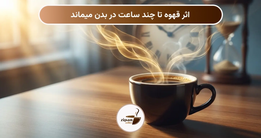 اثر قهوه تا چند ساعت در بدن میماند