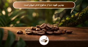بهترین قهوه دنیا از مدفوع کدام حیوان است