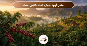 مادر قهوه جهان کدام کشور است