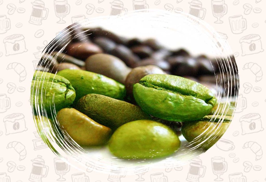 خرید قهوه سبز عمده