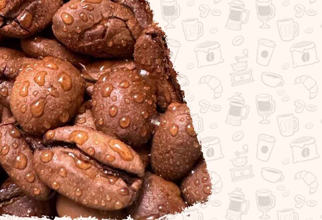 قیمت خرید و فروش قهوه عربیکا هند