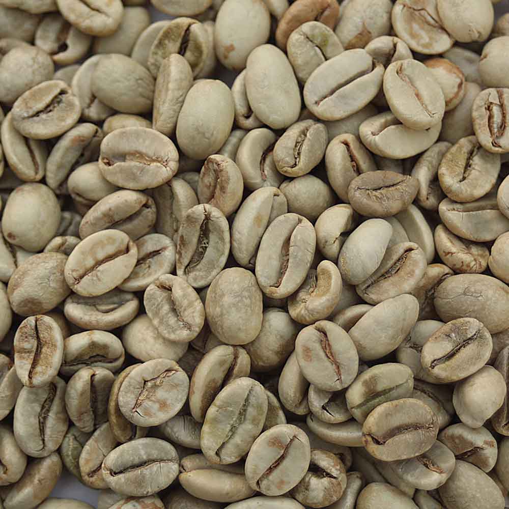 قیمت و خرید عمده قهوه روبوستا چری AA