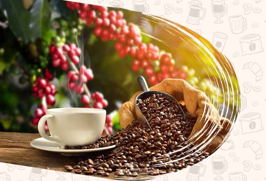 قیمت و خرید قهوه گلد برزیل