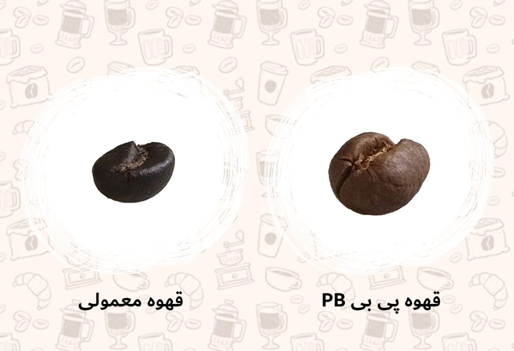 قیمت و خرید عمده قهوه روبوستا  پی بی PB