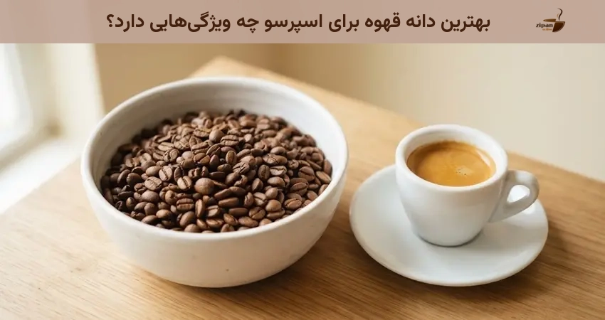 بهترین دانه قهوه برای اسپرسو چه ویژگیهایی دارد؟